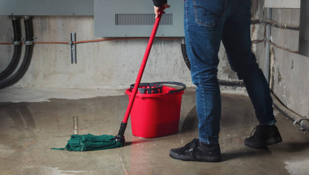  Bay St Louis, MS Water damage restoration Pros
