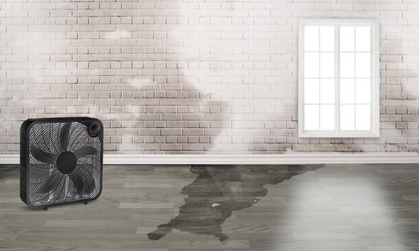 Best Residential water damage restoration  in Bay St Louis, MS