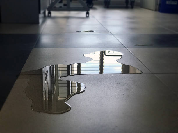 Best 24/7 water damage repair  in Bay St Louis, MS